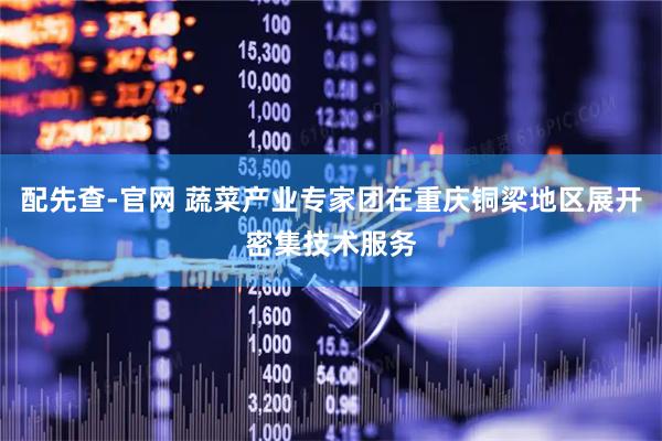 配先查-官网 蔬菜产业专家团在重庆铜梁地区展开密集技术服务