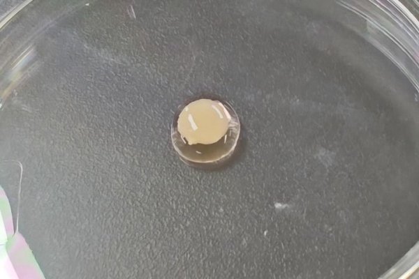 股票配资交流平台 实验室里长出目前最大尺寸“人造心脏”