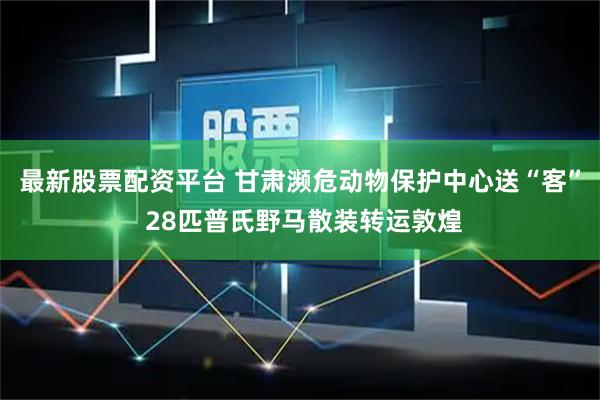 最新股票配资平台 甘肃濒危动物保护中心送“客” 28匹普氏野马散装转运敦煌