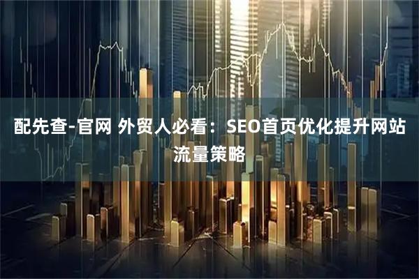 配先查-官网 外贸人必看：SEO首页优化提升网站流量策略